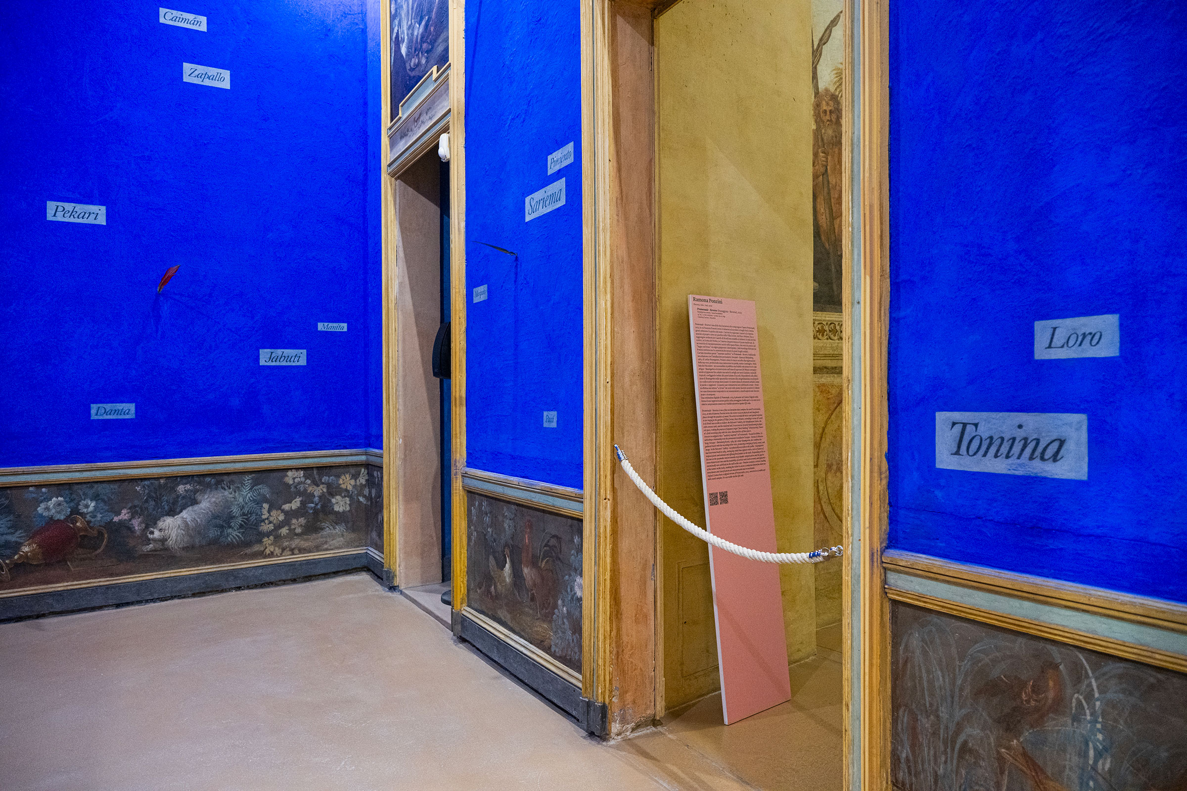 u0022I suoni del mondo / Sounds of the worldu0022, veduta espositiva